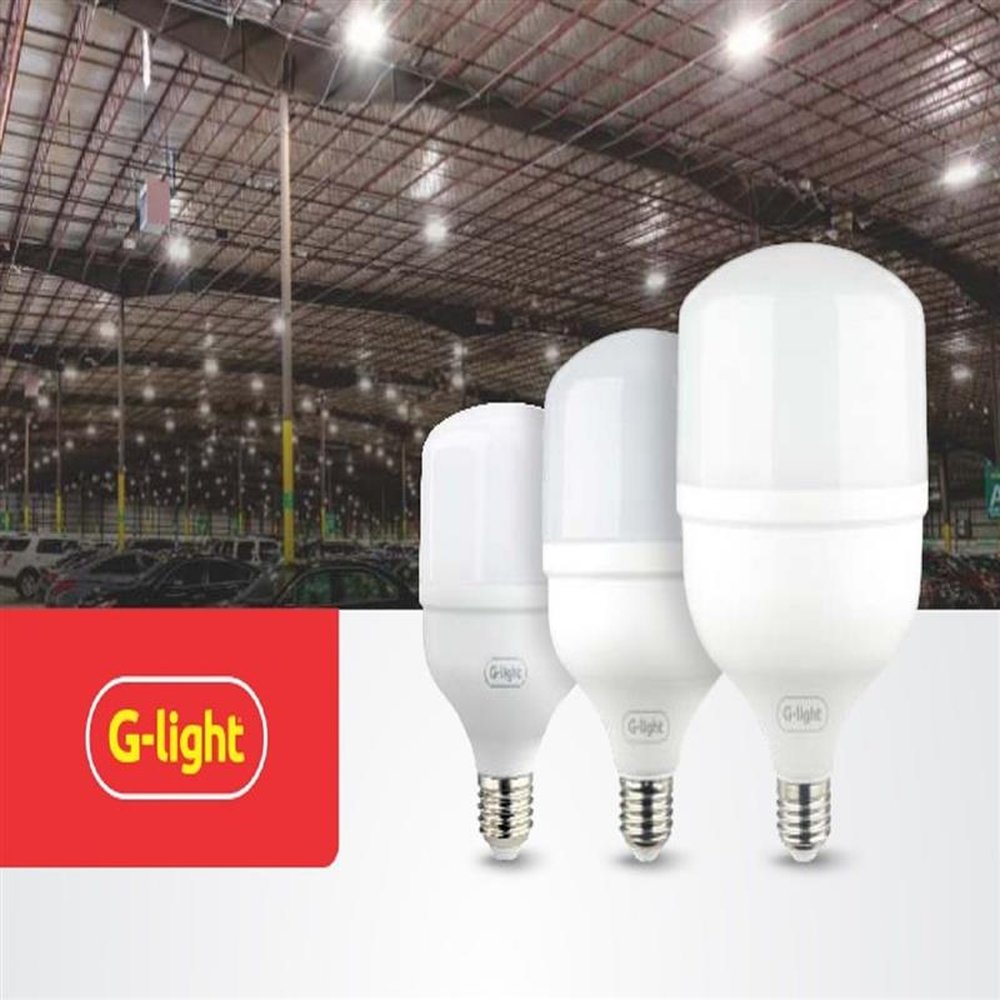 Lâmpada Led. Ence G-Light T60 20W E27 6500K Autovolt