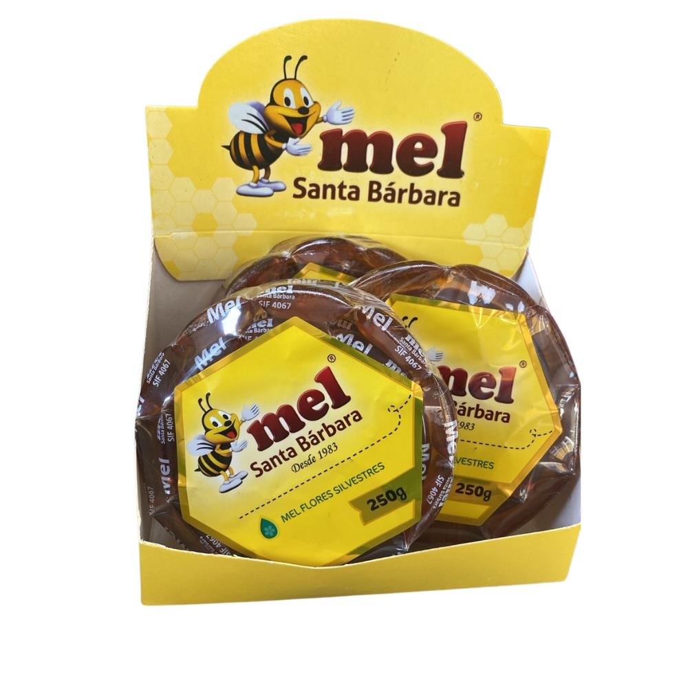Mel Sachet Natural 250g - Santa Bárbara