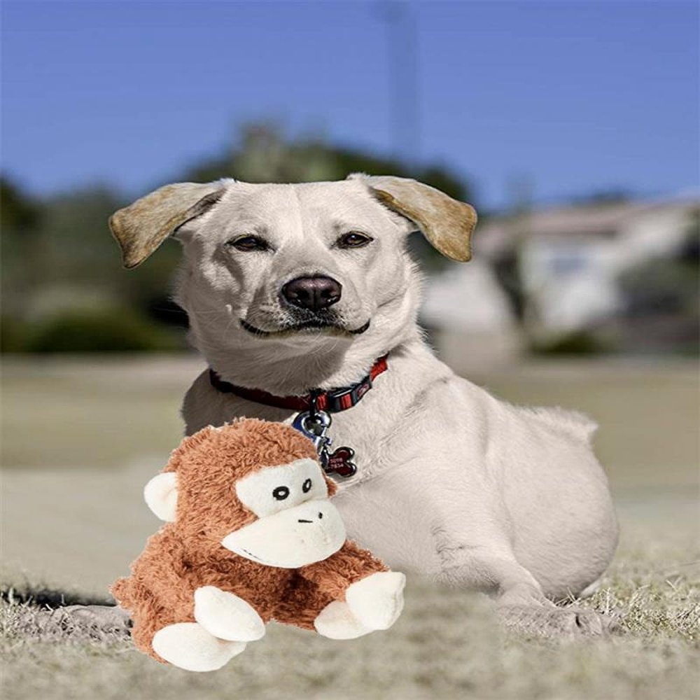 Brinquedo Pet Look Who´s Talking: Macaco