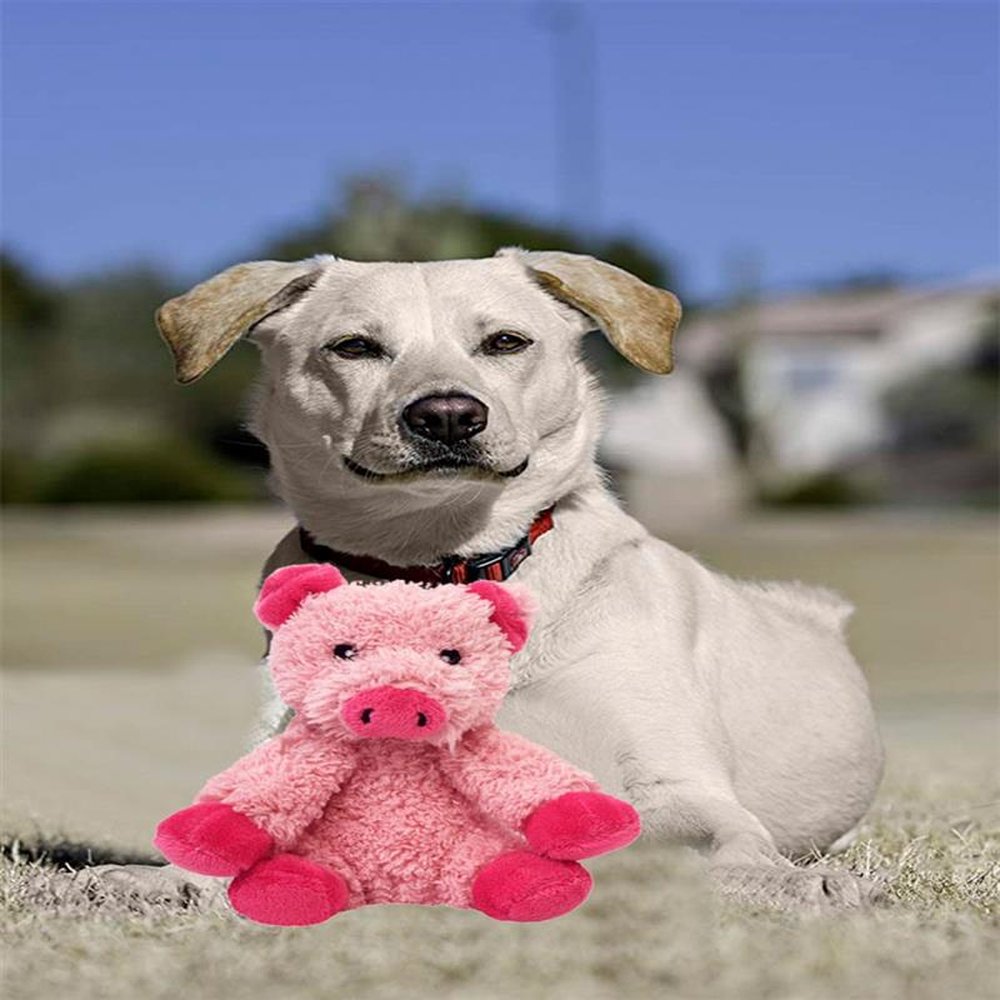 Brinquedo Pet Look Who´s Talking: Porquinho rosa
