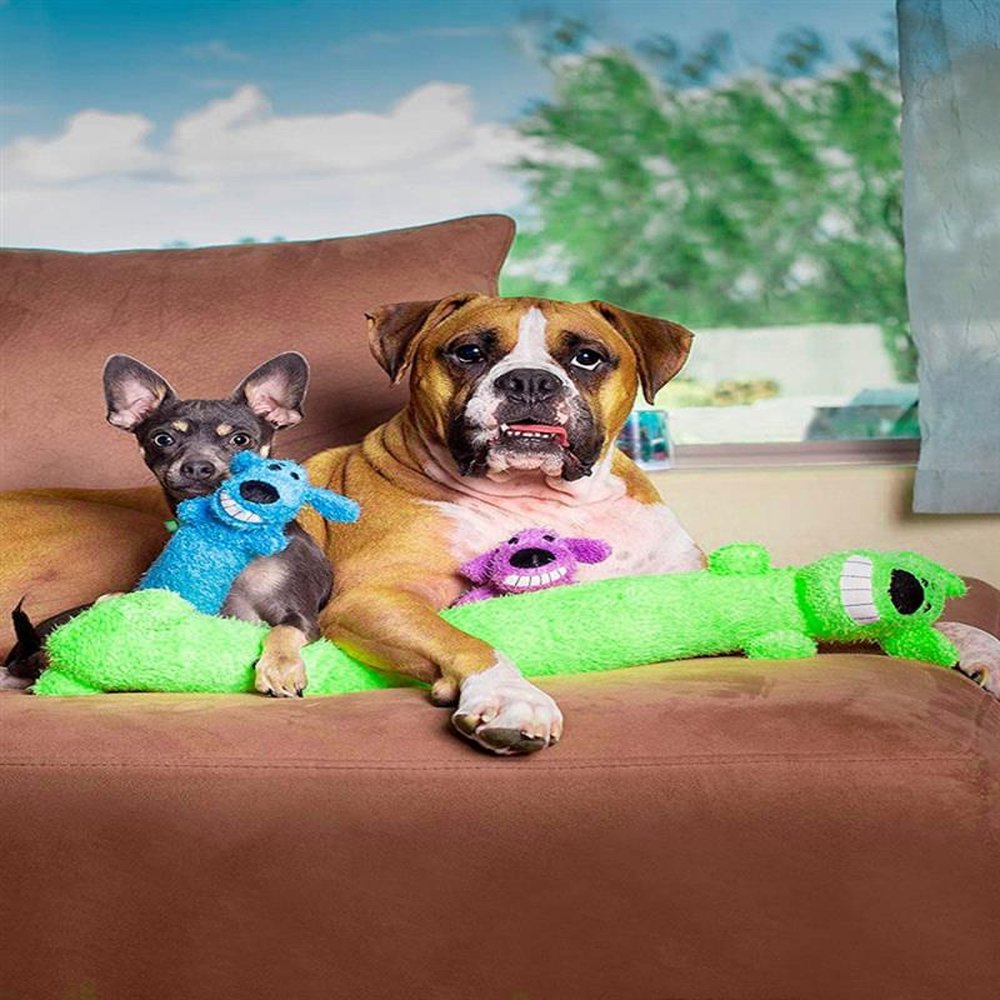 Brinquedo Pet para cães Loofa Dog com 18 cm - Roxa