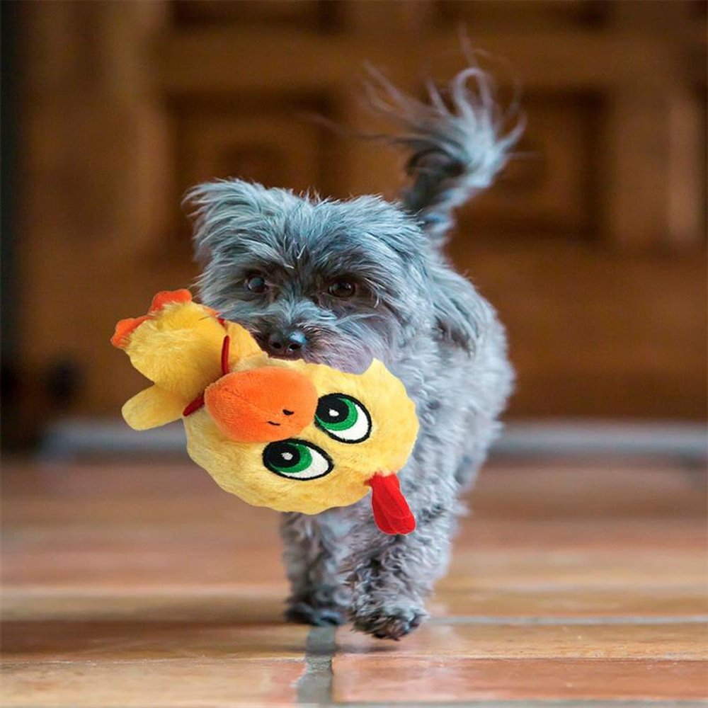 Brinquedo Pet Cuzzle Buddies Galinha
