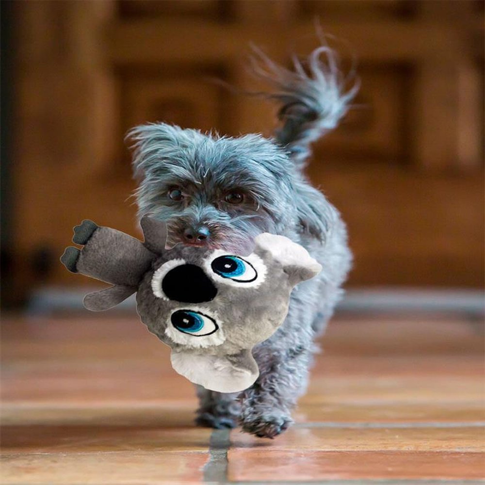 Brinquedo Pet Cuzzle Buddies Koala