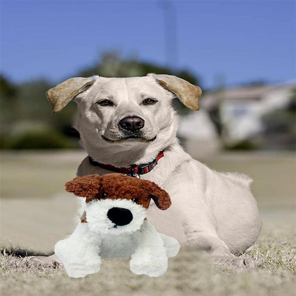 Brinquedo Pet Look Who´s Talking: Cachorrinho