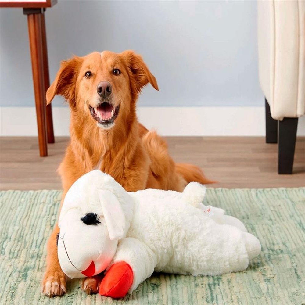 Brinquedo para Cães feito em Pelúcia ´Ovelha Pet Lamb Chop´ com 60 cm