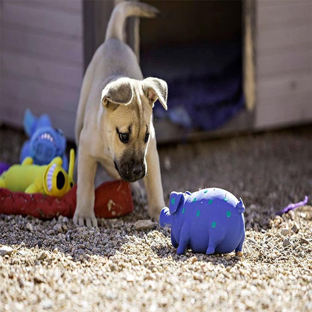 Brinquedo Pet Globlet Pig para cães - Laranja