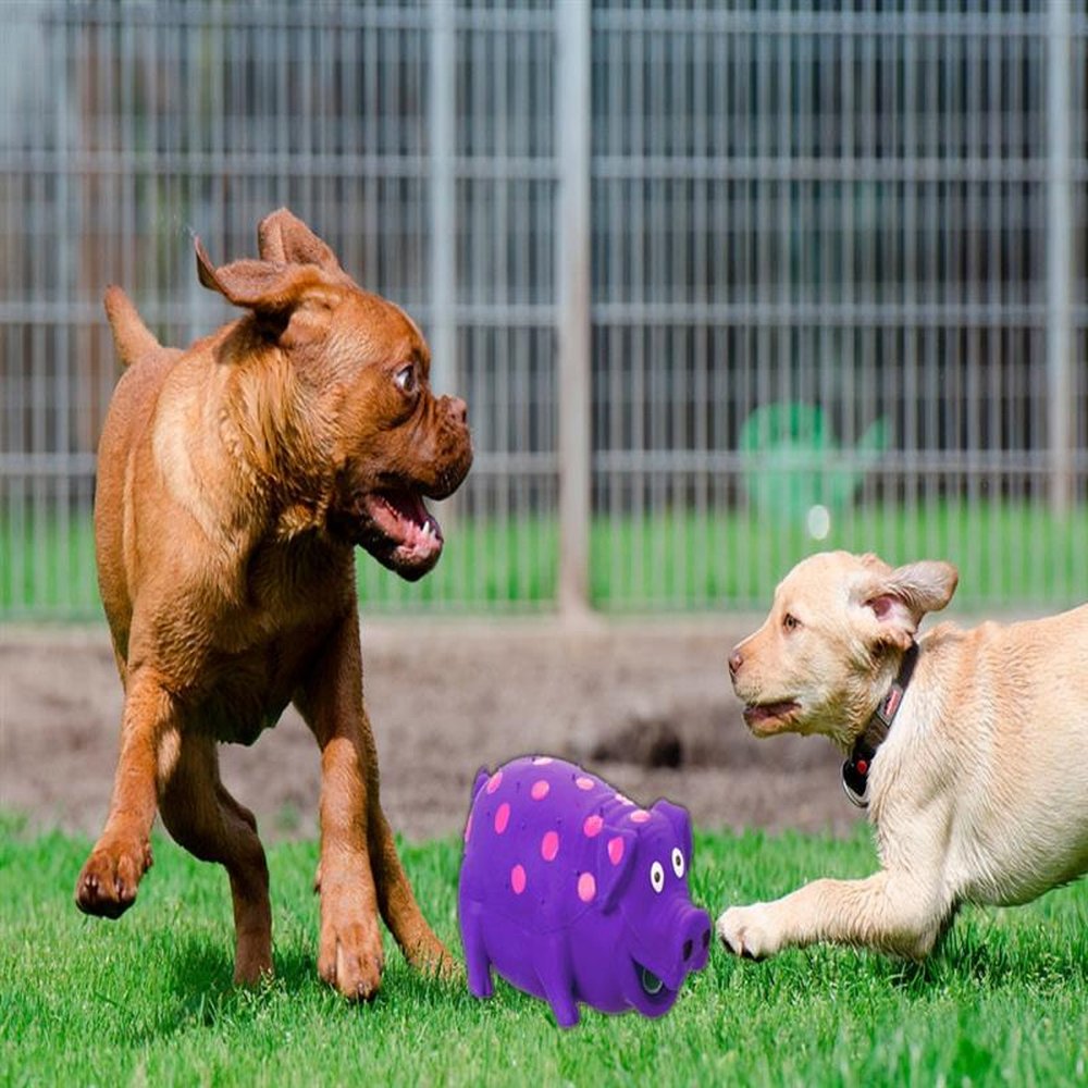 Brinquedo Pet Globlet Pig para cães - Laranja