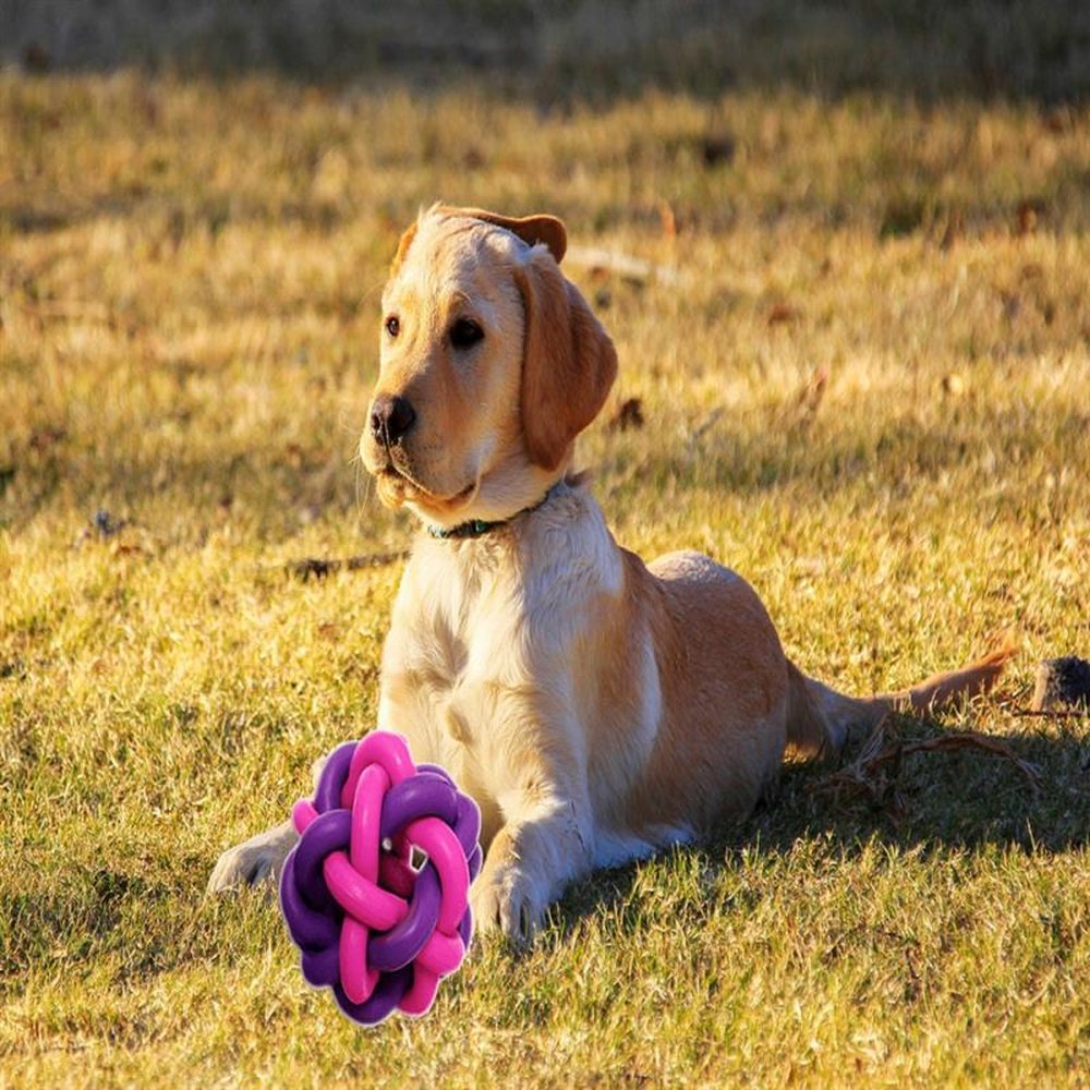 Brinquedo Pet Ruff Enuff Bola Estrela para cães ativos - Roxo e Rosa