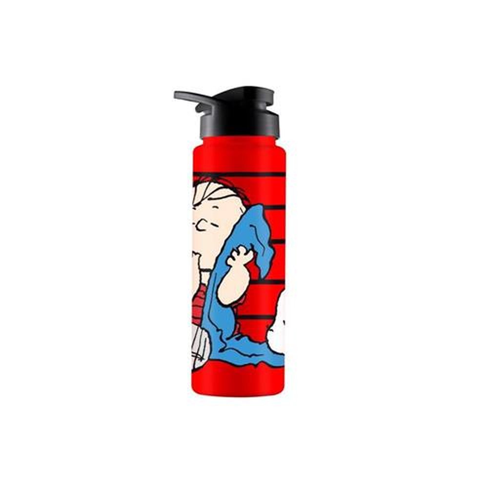 Squeeze 750Ml Lino E Snoopy Bandeirante
