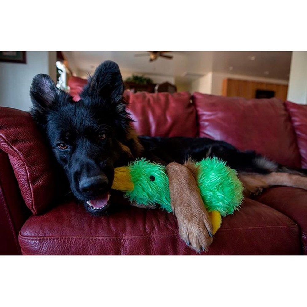 Brinquedo Pet Duzzle Buddies Pato fofo para cães - Azul