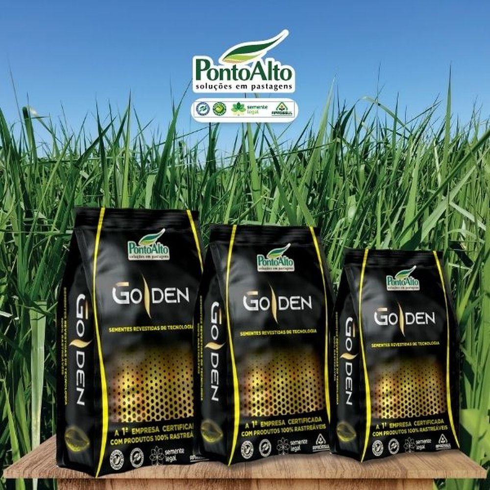Brachiaria - Xaraés Golden/15KG