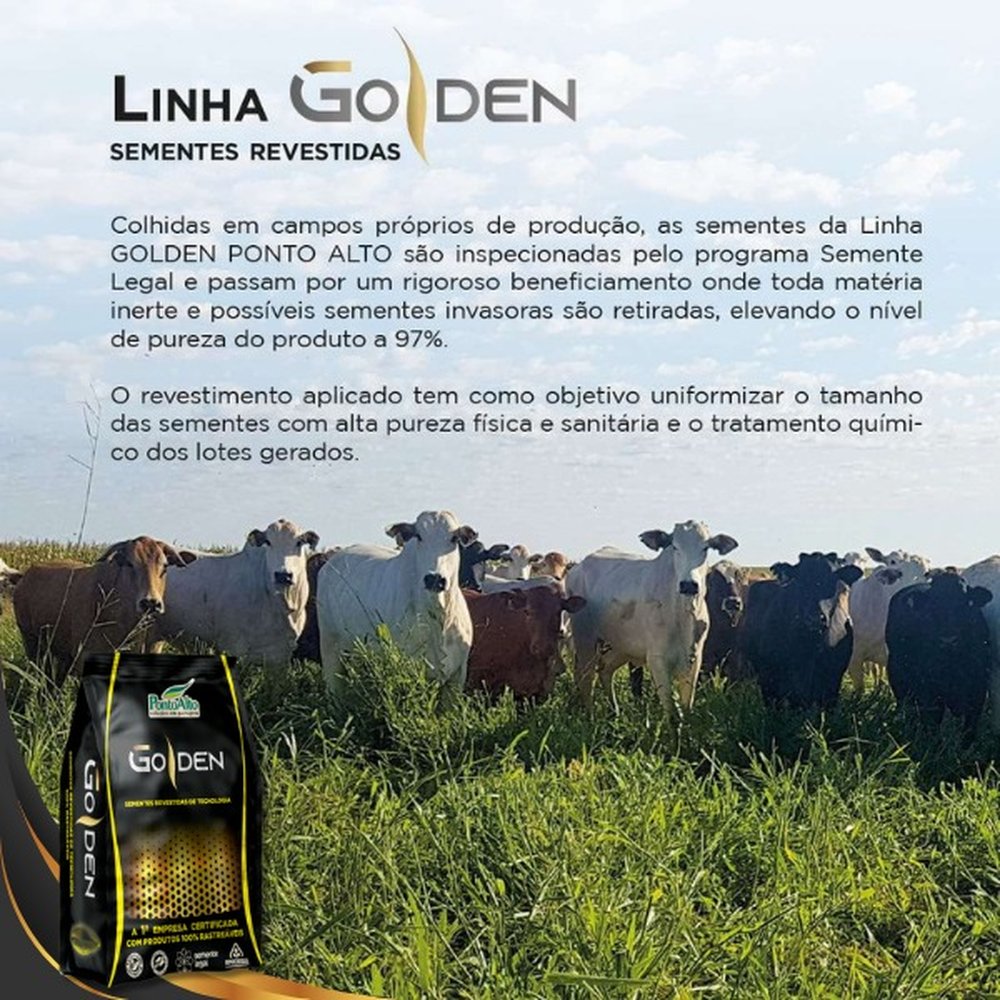 Brachiaria - Xaraés Golden/15KG