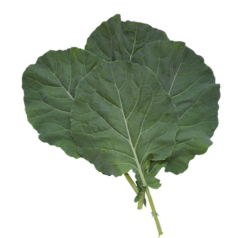 SEMENTES COUVE MANTEIGA FELTRIN 50G LATA