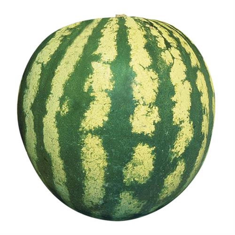 Sementes de Hortaliças Feltrin Melancia Crimson Sweet - Embalagem de 50gr