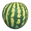 Sementes de Hortaliças Feltrin Melancia Crimson Sweet - Embalagem de 50gr
