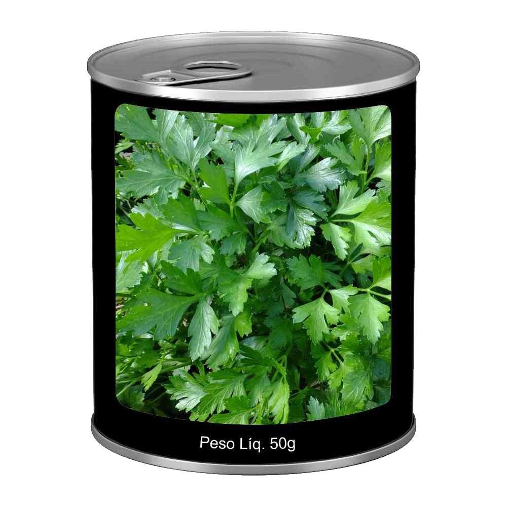Sementes Salsa Feltrin Lisa Lata 50g