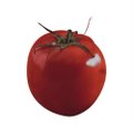 Sementes de Hortaliças Feltrin Tomate Santa Cruz Kada Gigante - Embalagem de 50gr