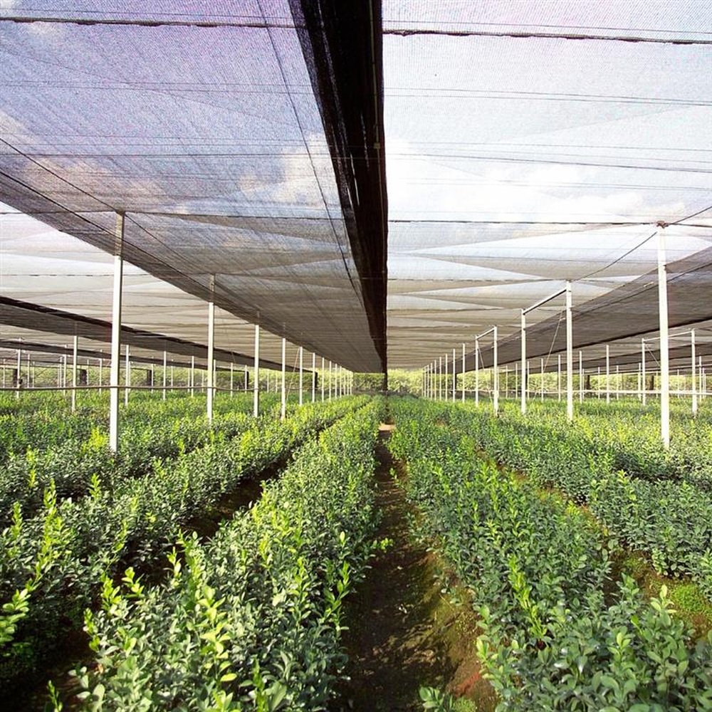 Tela Forte Special 50 % L 3,00m x 50m