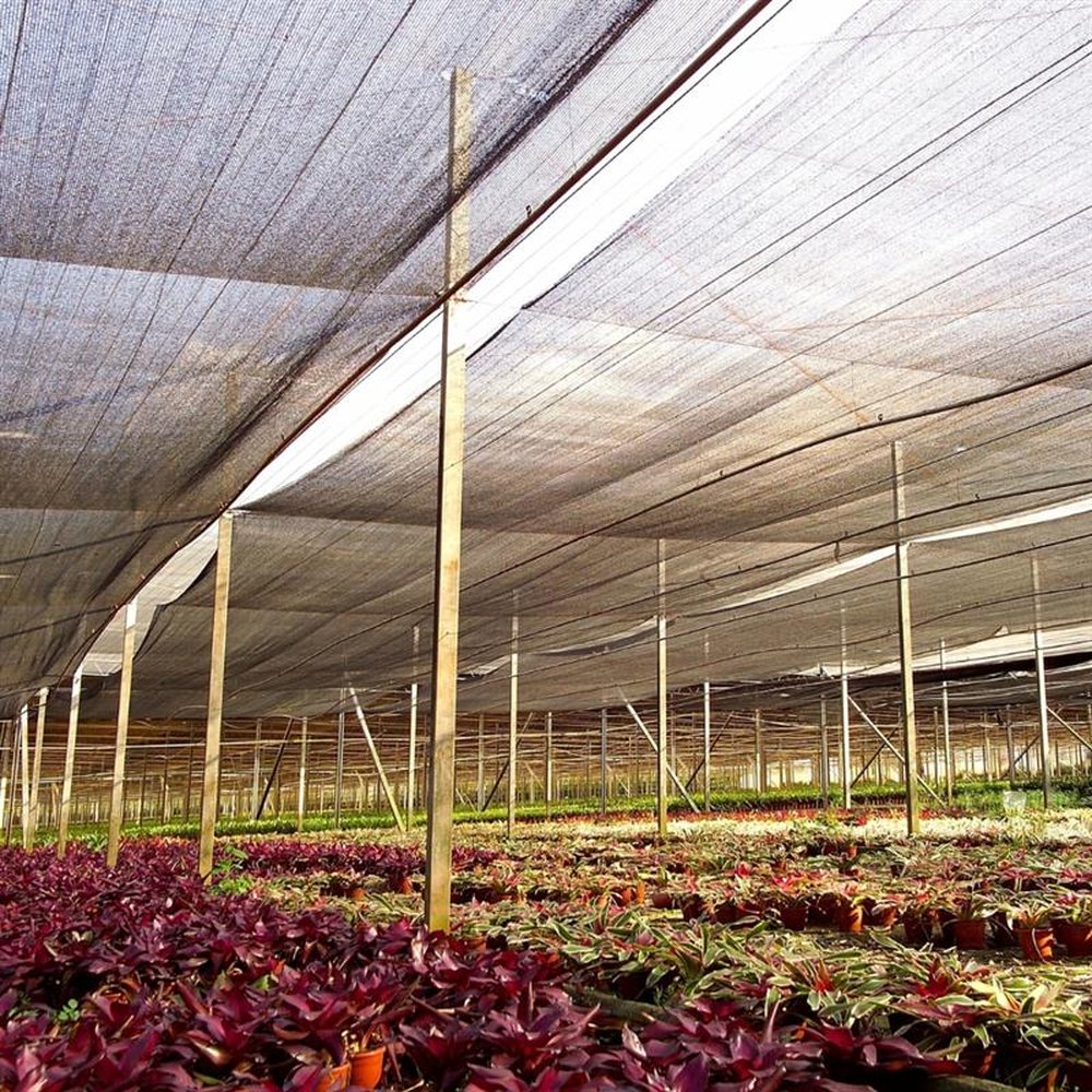 Tela Forte Special 50 % L 3,00m x 50m