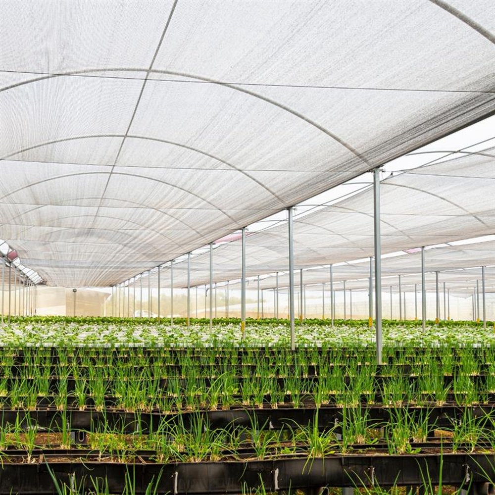 Tela Freshnet 50% 4,00 x 110