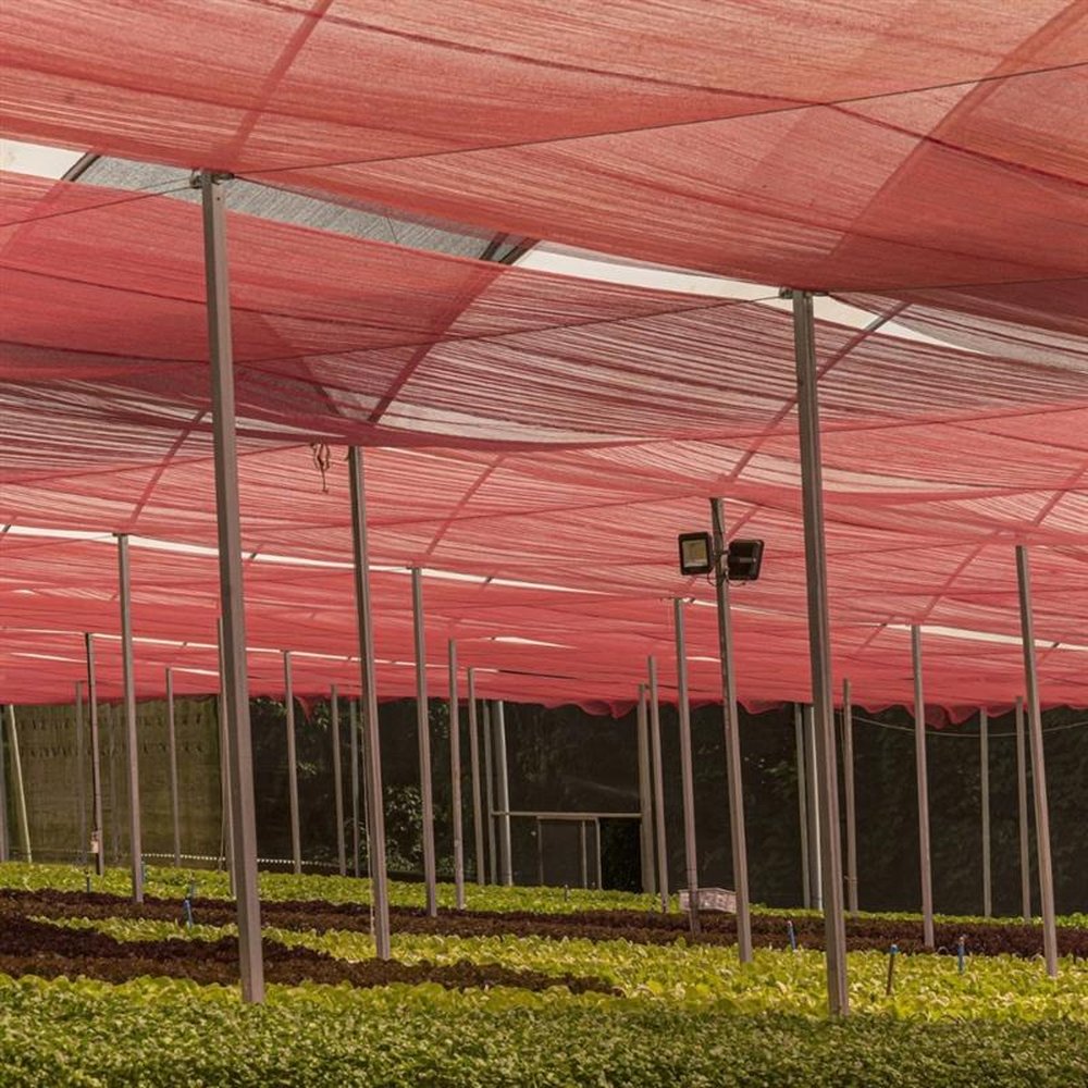 Tela Ultranet 35% 4,00 x 100