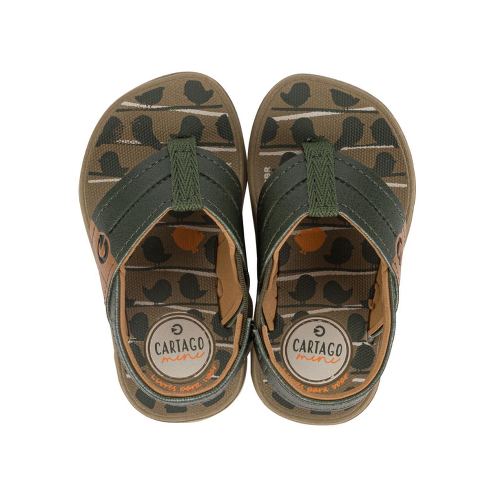 Chinelo Infantil Cartago Mini Bege Verde Castor - Grade 12 Pares - Numeração 19-25