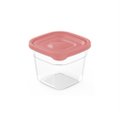 Pote Linha Mais 530mL Plasvale - Salmão