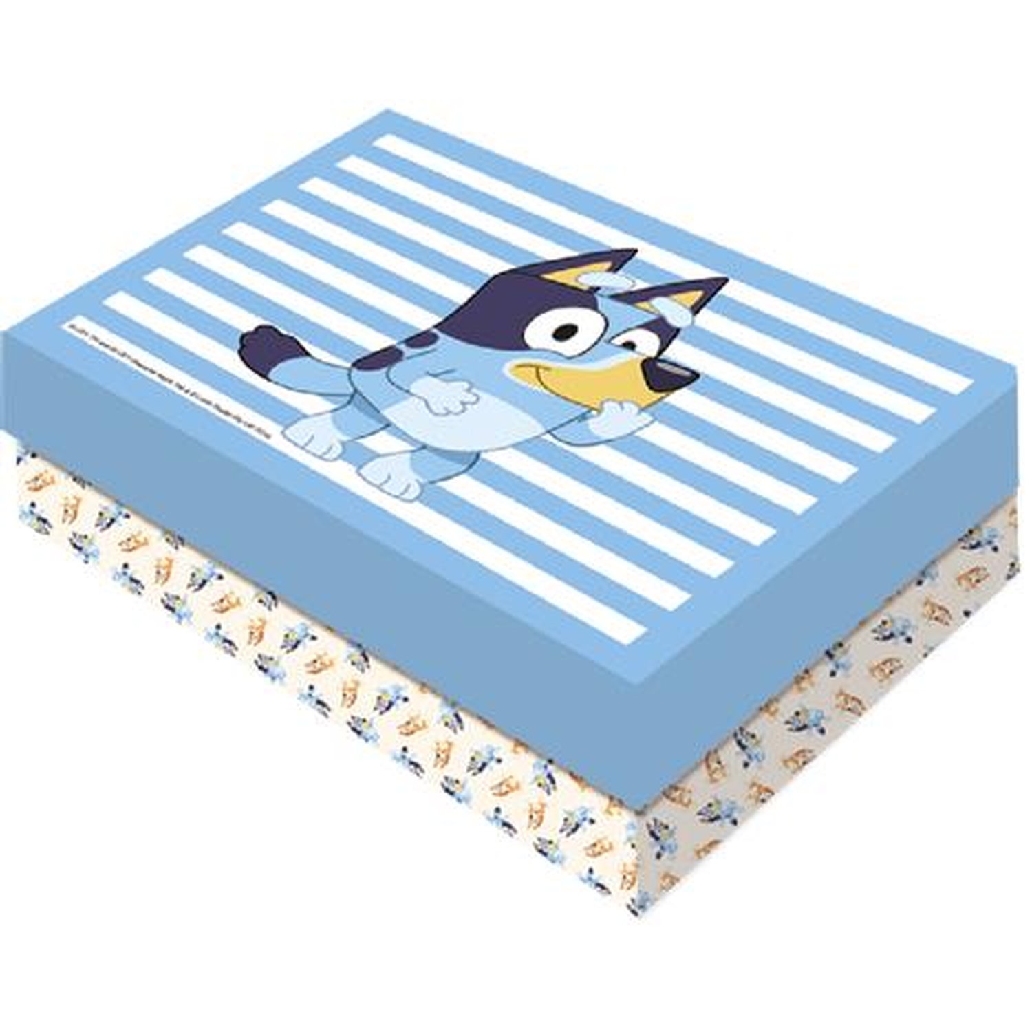 Caixa Presente Retangular P Bluey