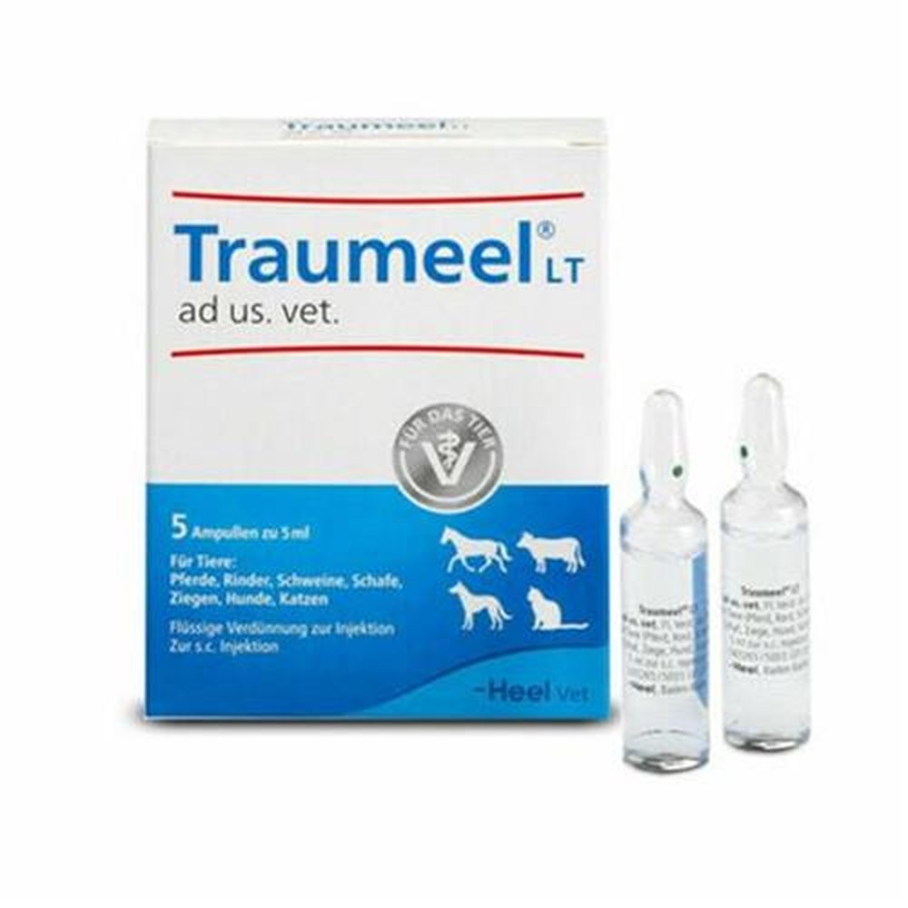 Traumeel Injetavel 5x5ml Hell Vet