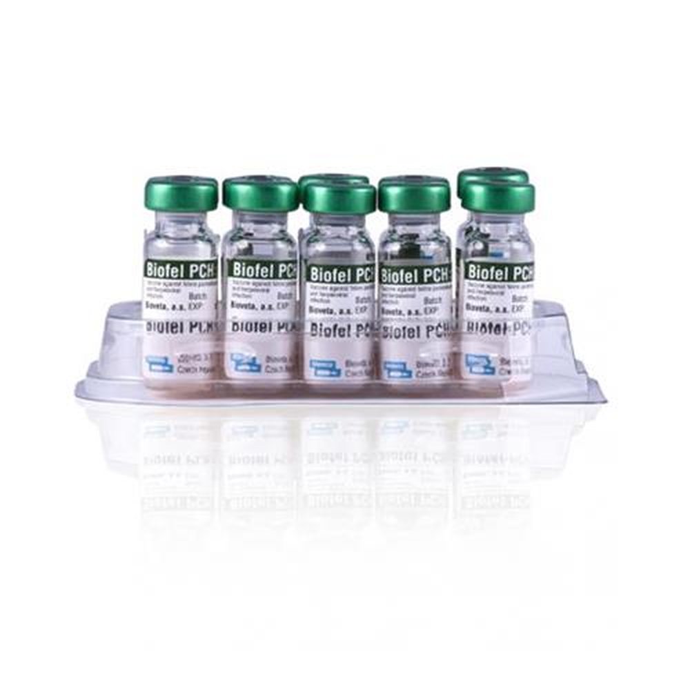Biofal Rabies Vacina Biofel PCH 1 Dose Grascon | Martins Atacado