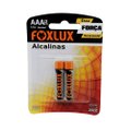 Pilha Foxlux Alcalina Palito Aaa 10X2