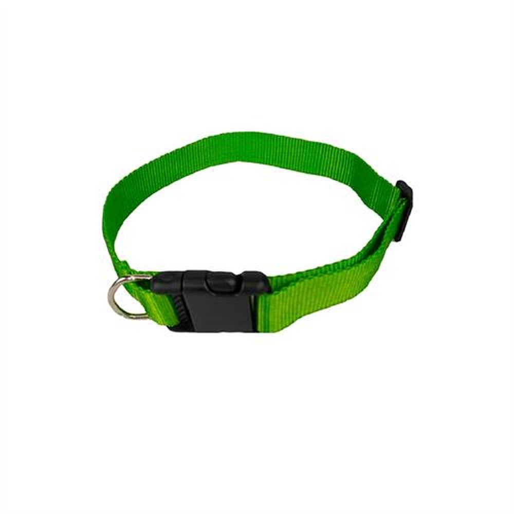 Coleira Cão Nylon N 08 65Cm C6