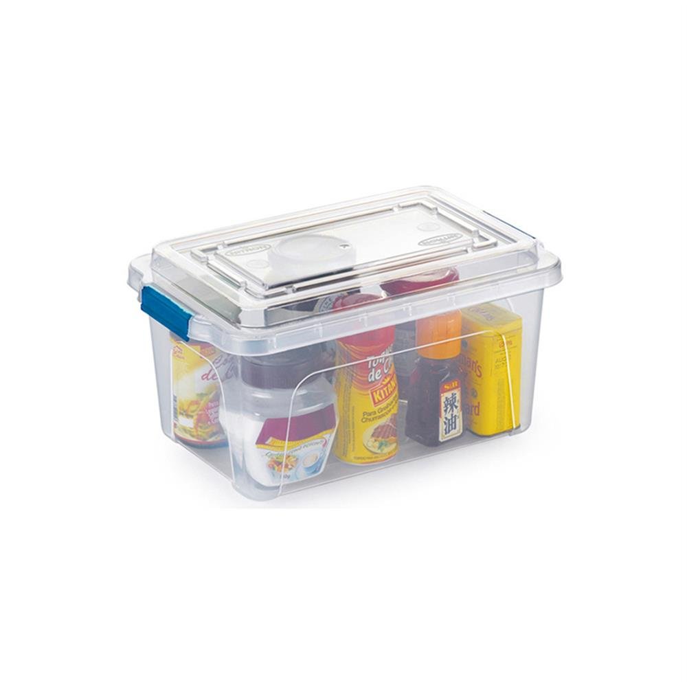 Caixa Organizadora 4,3L C/Tampa Transparente Nitronplast C3