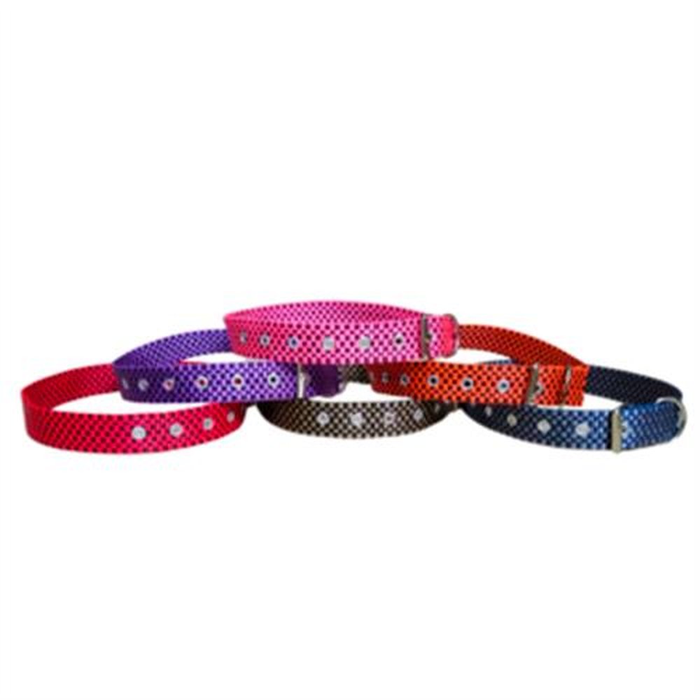 Coleira Cão Nylon N 08 Sortida C6