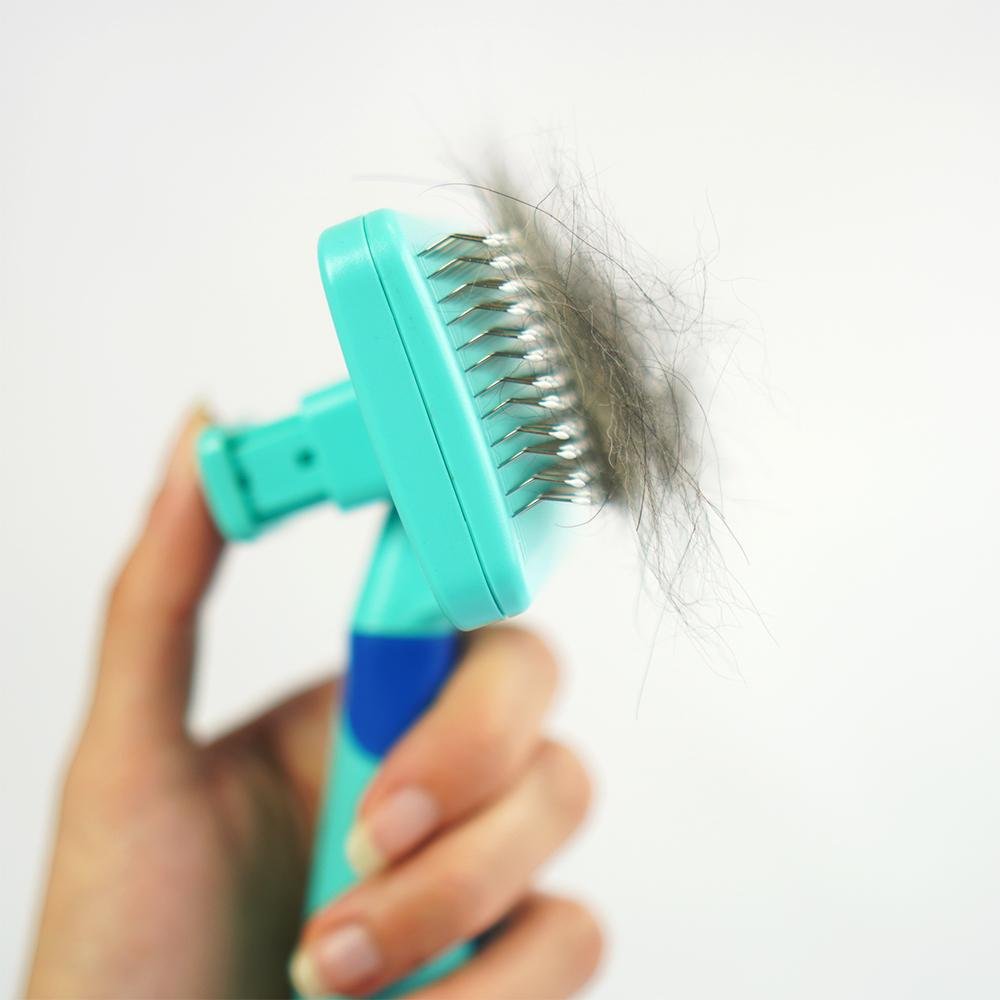 Rasqueadeira Blue Xo Pelos - Blue - PP354