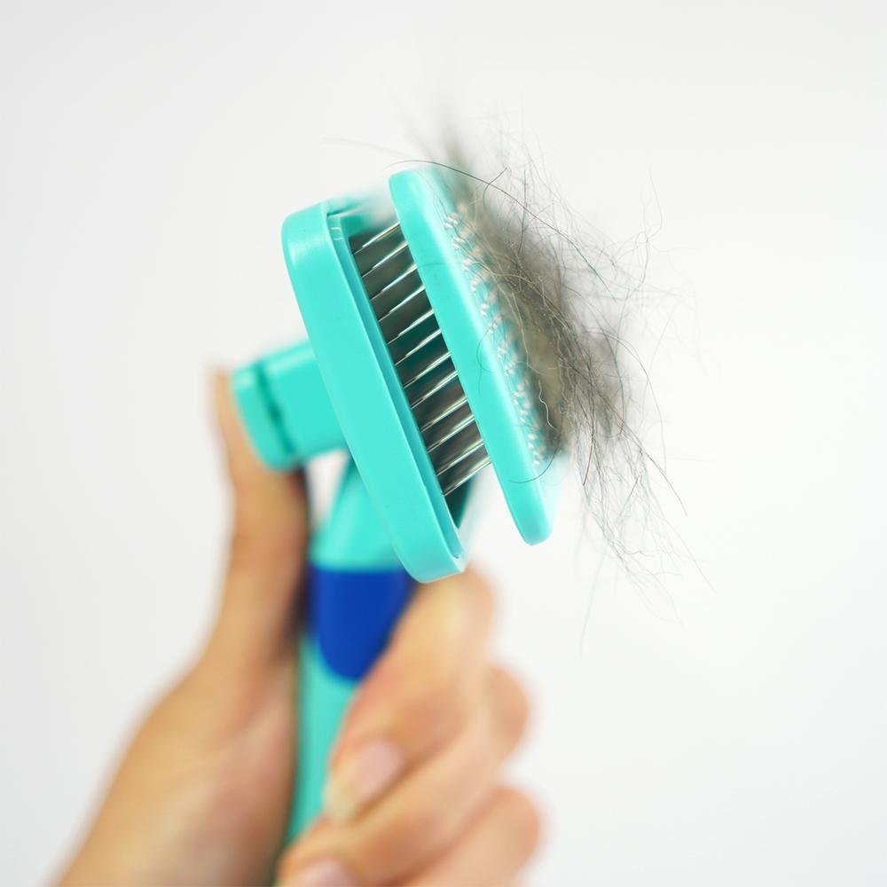 Rasqueadeira Blue Xo Pelos - Blue - PP354