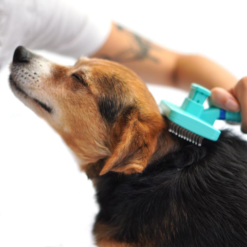 Rasqueadeira Blue Xo Pelos - Blue - PP354