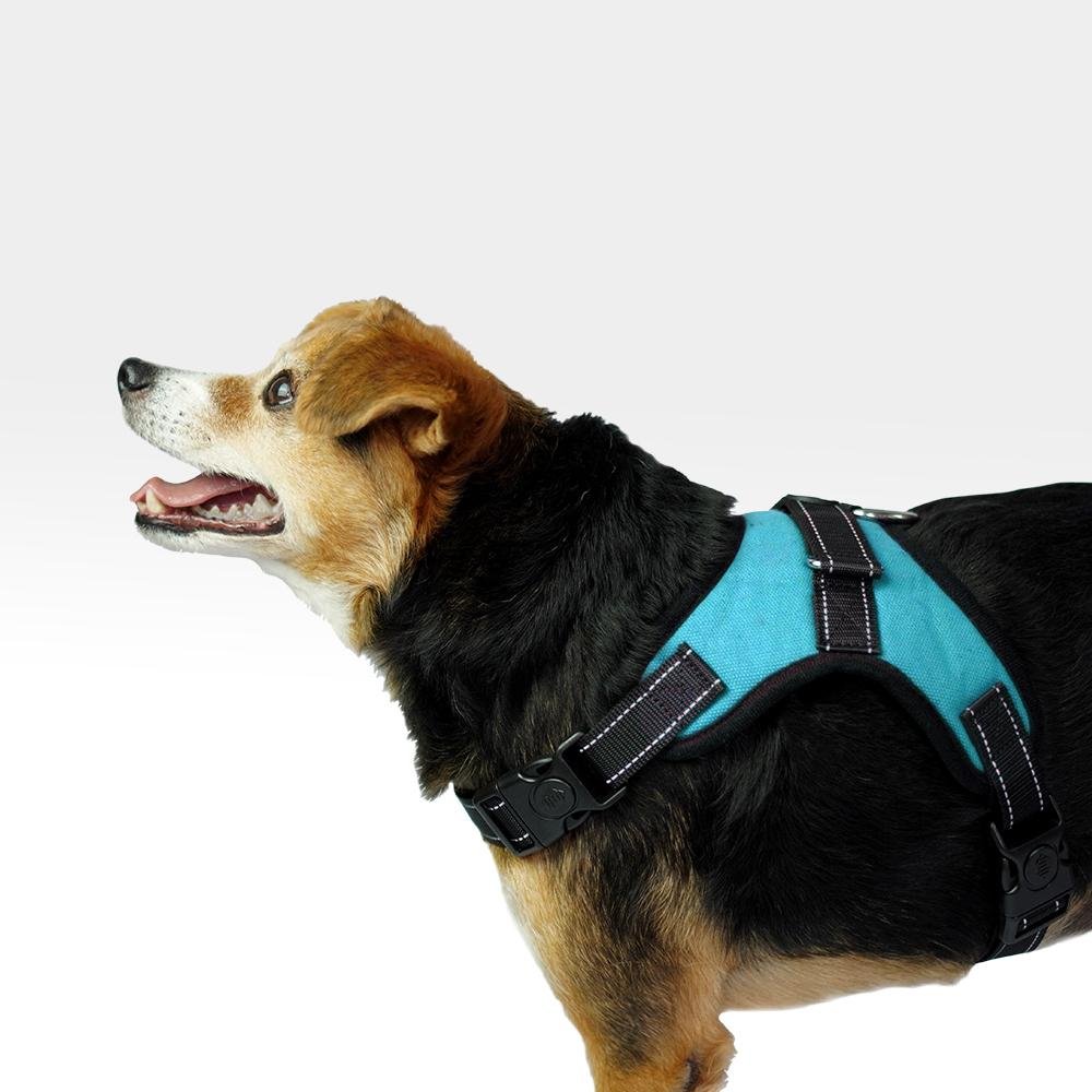 Peitoral Air Pull Azul Tamanho G Mimo - PP327