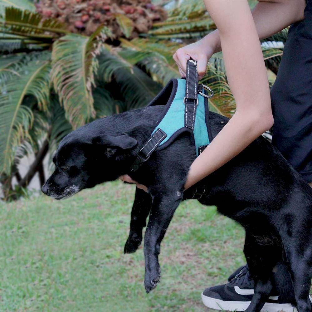 Peitoral Air Pull Azul Tamanho G Mimo - PP327