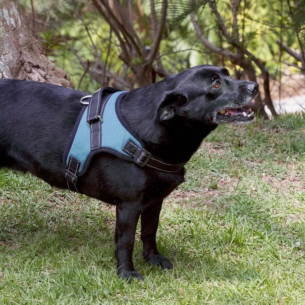 Peitoral Air Pull Azul Tamanho G Mimo - PP327