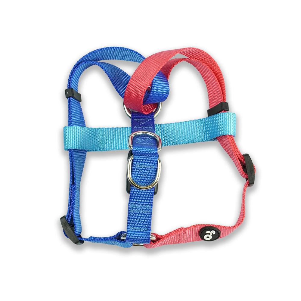 Peitoral H Azul e Rosa Tamanho P Mimo - PP279