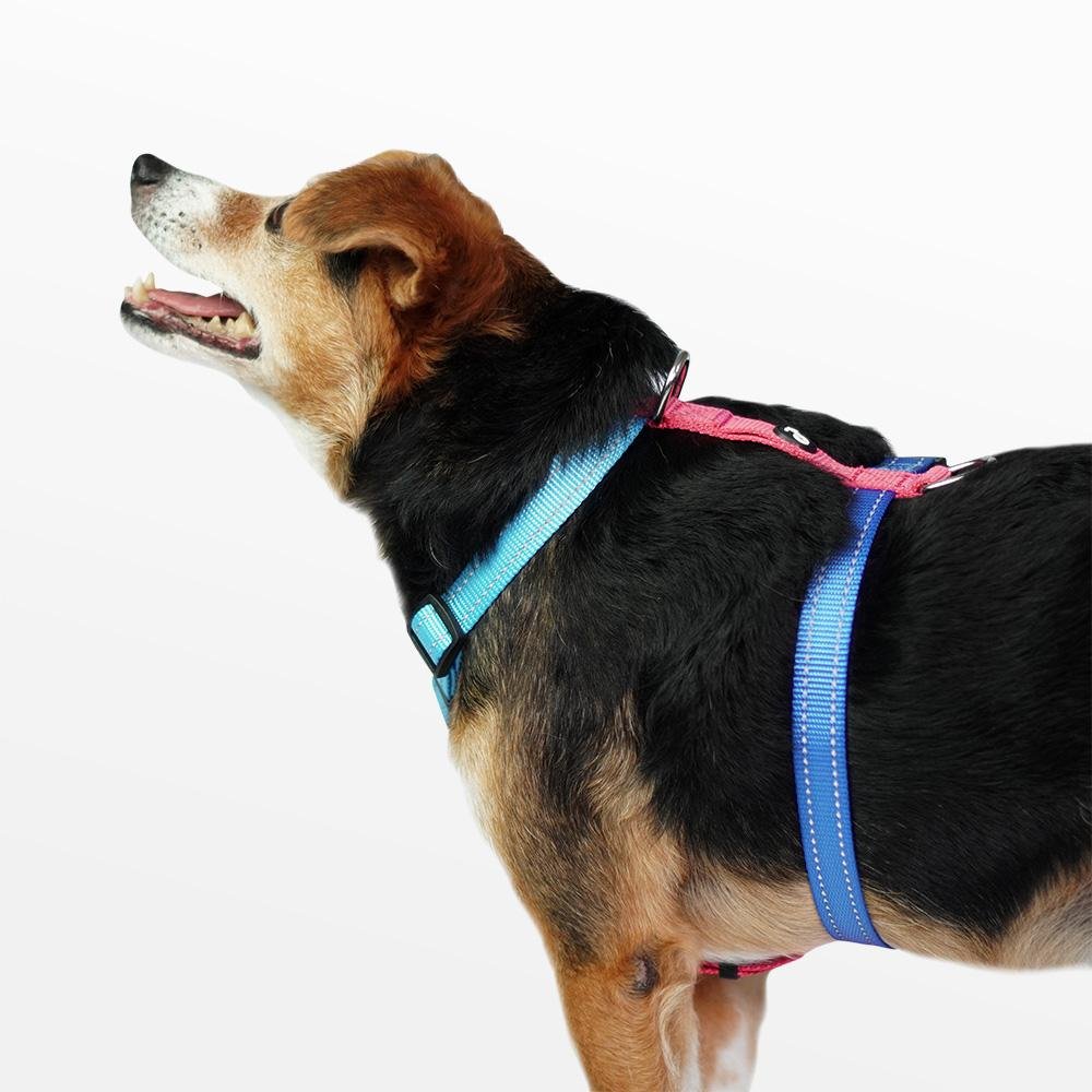 Peitoral H Azul e Rosa Tamanho P Mimo - PP279