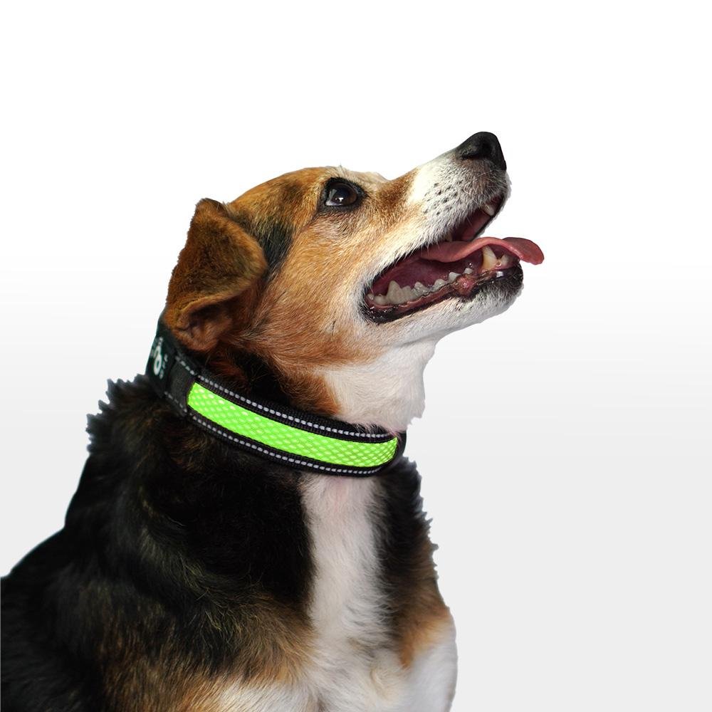 Coleira LED 3 Funções Verde Tamanho P Mimo - PP338
