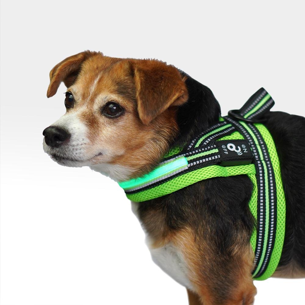 Peitoral LED 3 Funções Verde Tamanho G Mimo - PP336