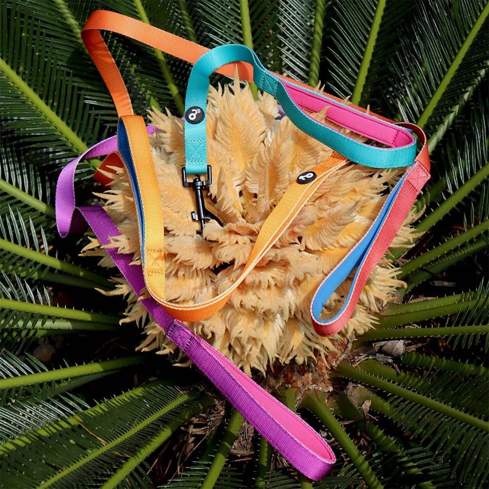 Guia Duplo Puxador Gradiente 1,50m Mimo - PP047