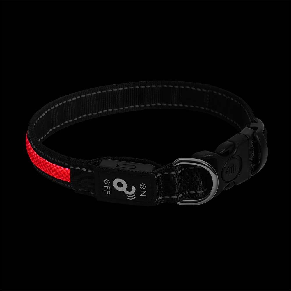 Coleira LED 3 Funções Vermelha Tamanho P Mimo - PP089