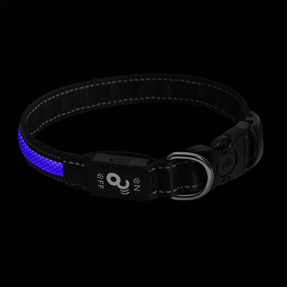 Coleira LED 3 Funções Azul Tamanho G Mimo - PP097