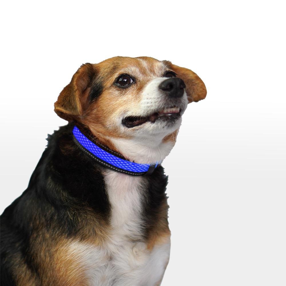 Coleira LED 3 Funções Azul Tamanho G Mimo - PP097