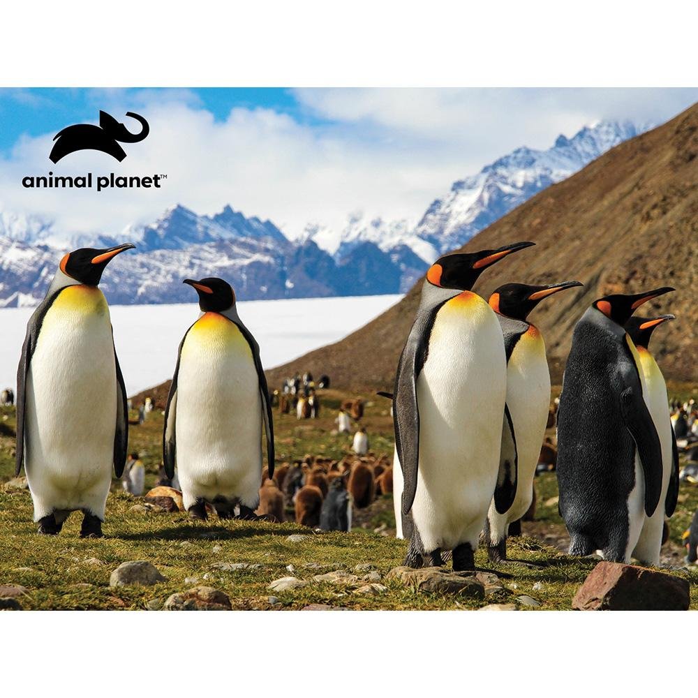 Quebra-Cabeça 3D Animal Planet Familia Pinguim 100 Peças Multikids - BR2116