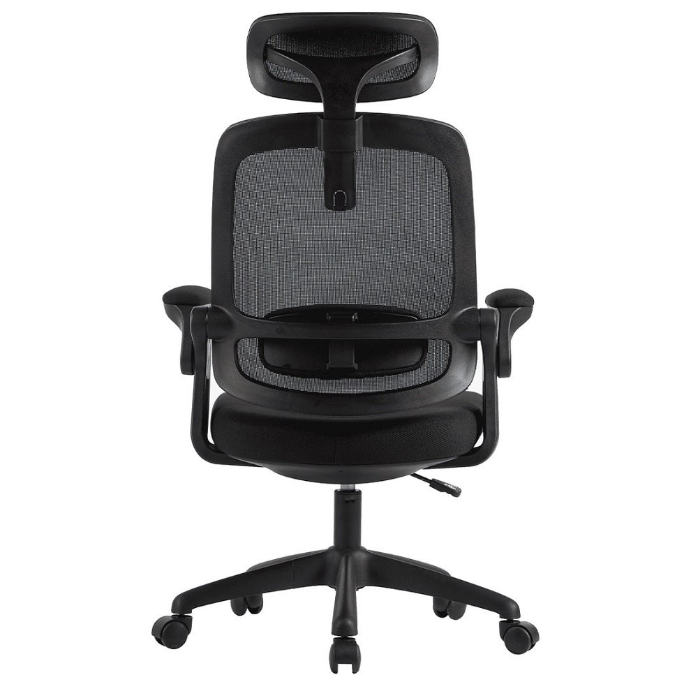 Cadeira De Escritorio Elements Astra Preto